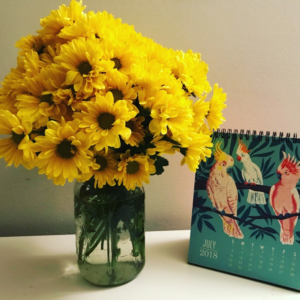 Meet your Posher, Anika